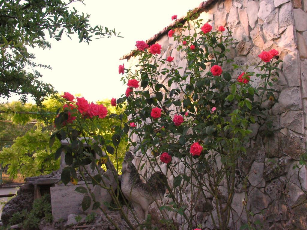 Agriturismo Valle Verde Altamura Eksteriør billede