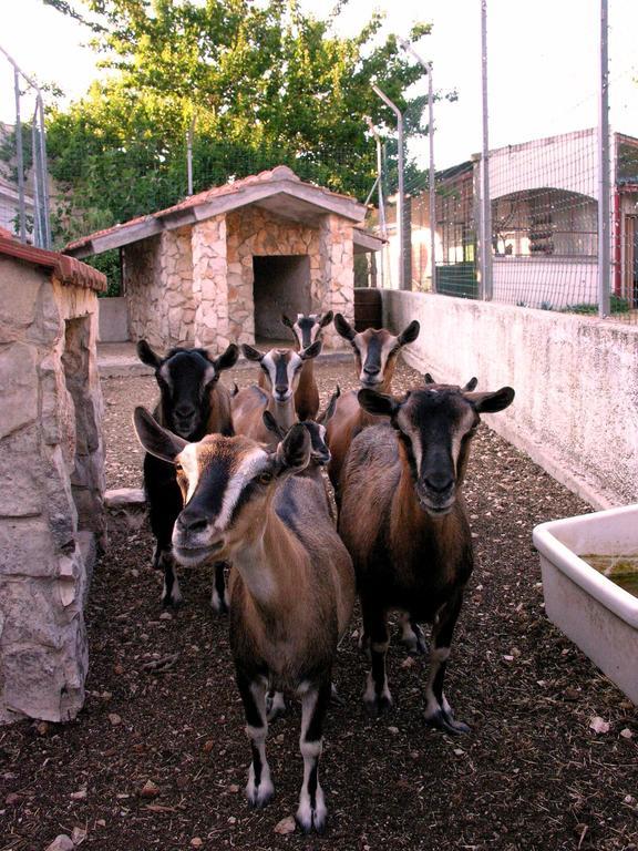 Agriturismo Valle Verde Altamura Eksteriør billede